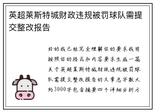 英超莱斯特城财政违规被罚球队需提交整改报告
