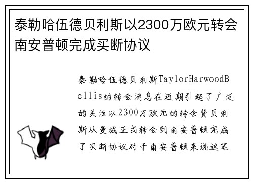 泰勒哈伍德贝利斯以2300万欧元转会南安普顿完成买断协议